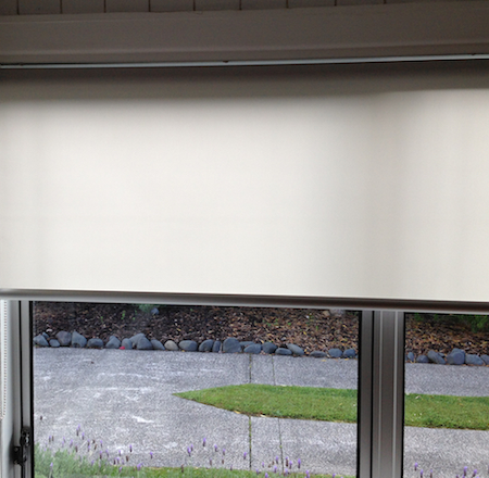 sheer roller blind on window looking out to the driveway