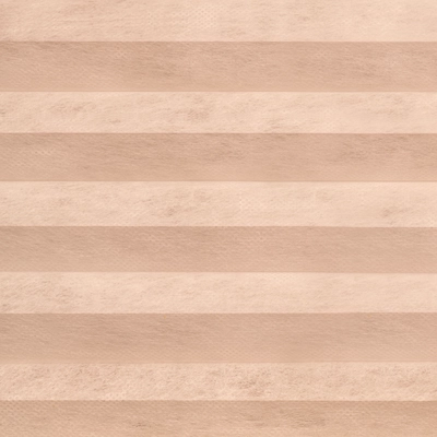 Light Filtering Honeycomb Blinds Wheat